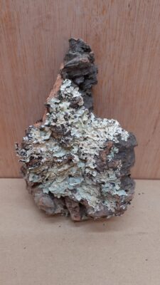 Small Cork Flat 6