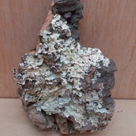 Small Cork Flat 6
