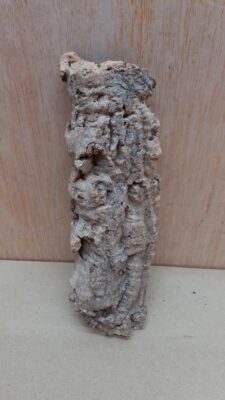 Small Cork Flat 13