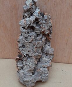 Small Cork Flat 14