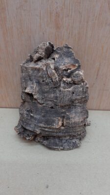 Small Cork Flat 16