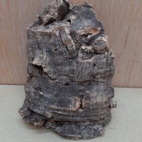 Small Cork Flat 16