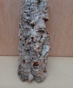 Small Cork Flat 19