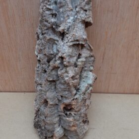 Small Cork Flat 19