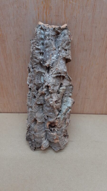 Small Cork Flat 19