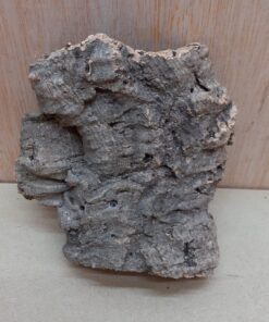 Small Cork Flat 28