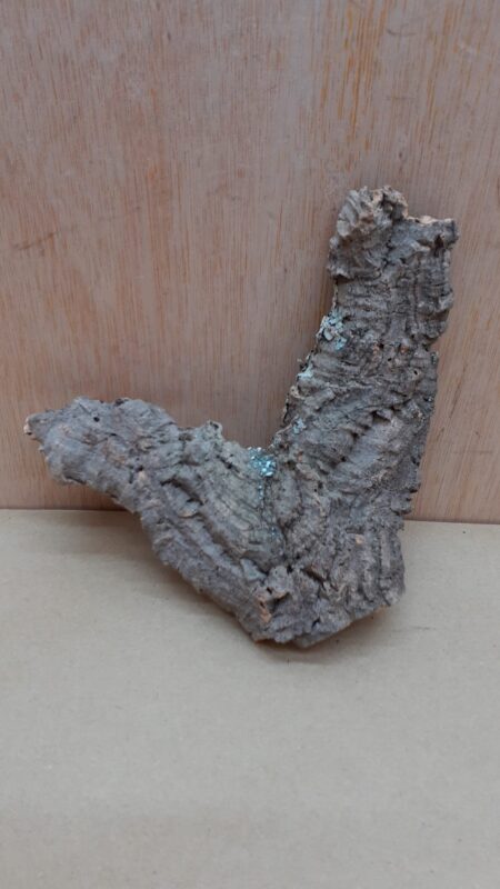 Small Cork Flat 30