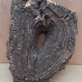 Medium Cork Flat 1