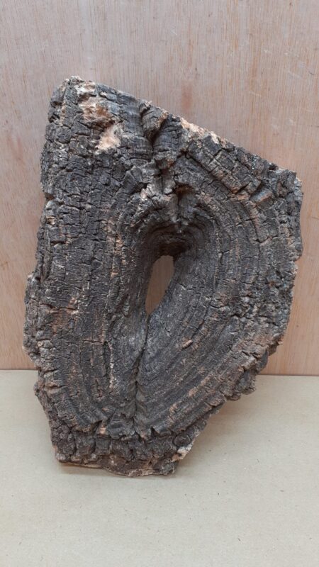 Medium Cork Flat 1