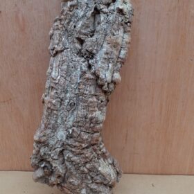 Medium Cork Flat 2