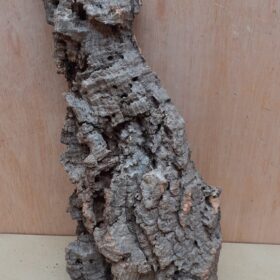 Medium Cork Flat 4