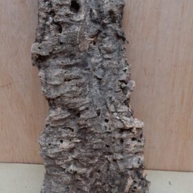 Medium Cork Flat 14