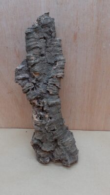 Medium Cork Flat 17