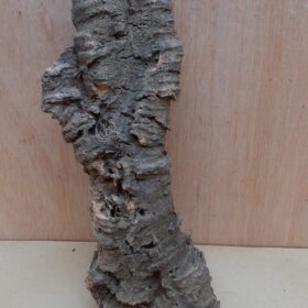 Medium Cork Flat 17