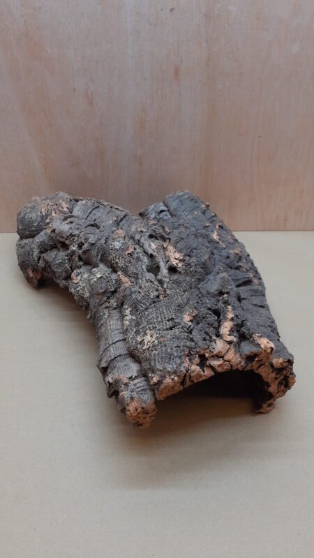 Medium Cork Hide 23