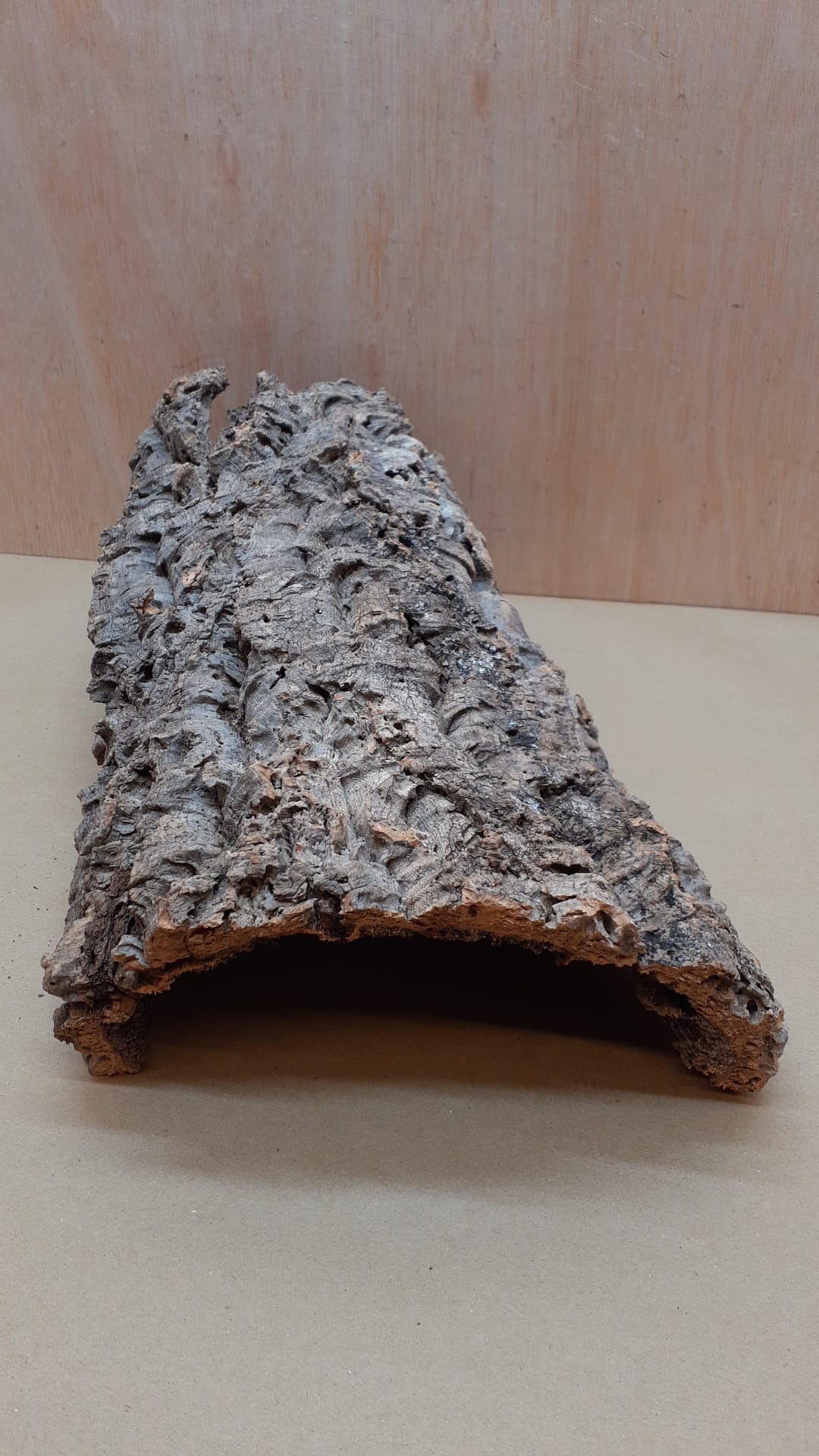 Medium Cork Hide 27