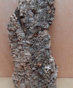 Large Cork Flat 22
