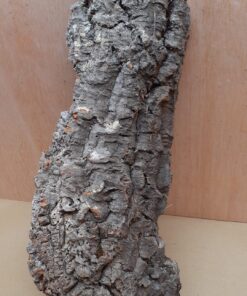 Large Cork Flat 25
