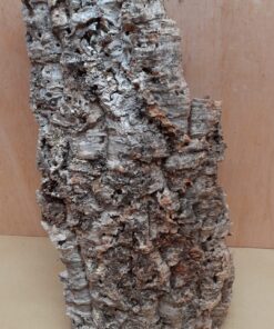 Large Cork Flat 27