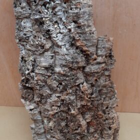 Large Cork Flat 27