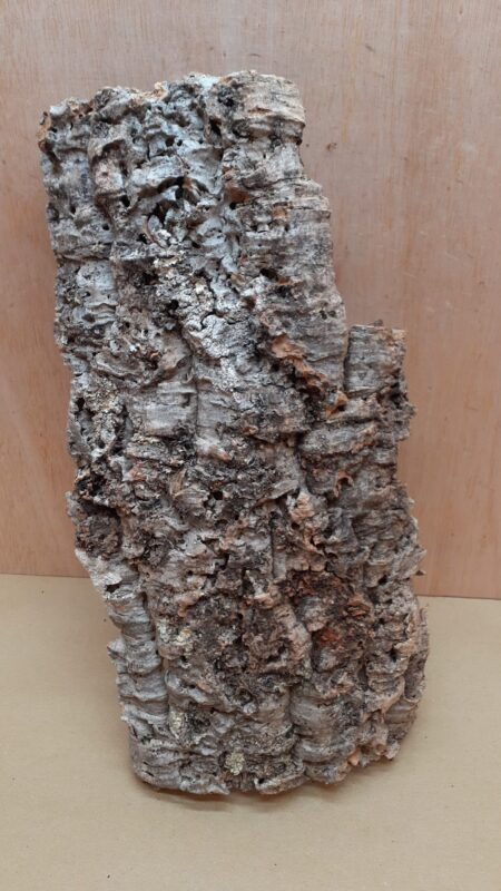 Large Cork Flat 27