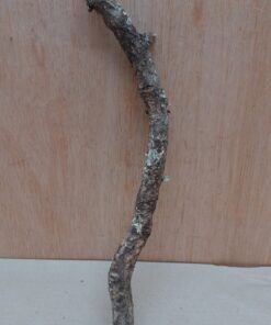 Small Cork Branch - Upto 40cm - 4