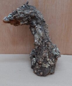 Small Cork Branch - Upto 40cm - 11