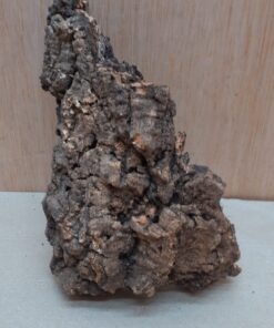 Small Cork Flat 3