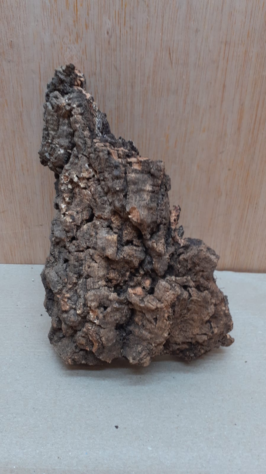 Small Cork Flat 3
