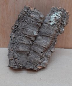 Small Cork Flat 4