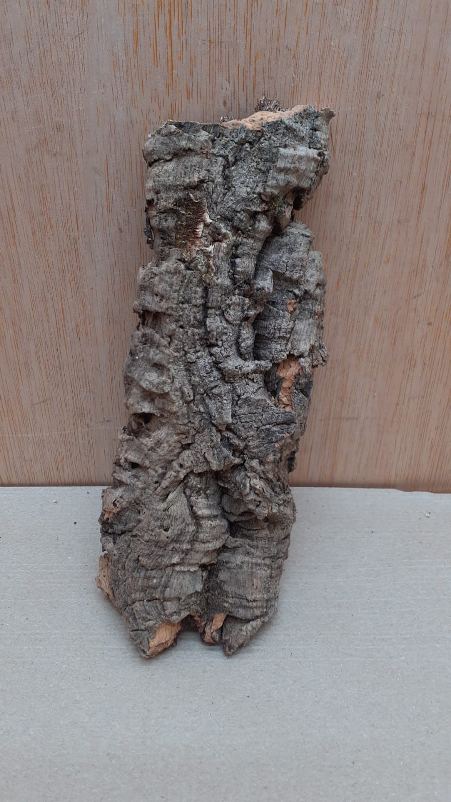Small Cork Flat 10