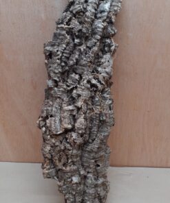 Large Cork Flat 1