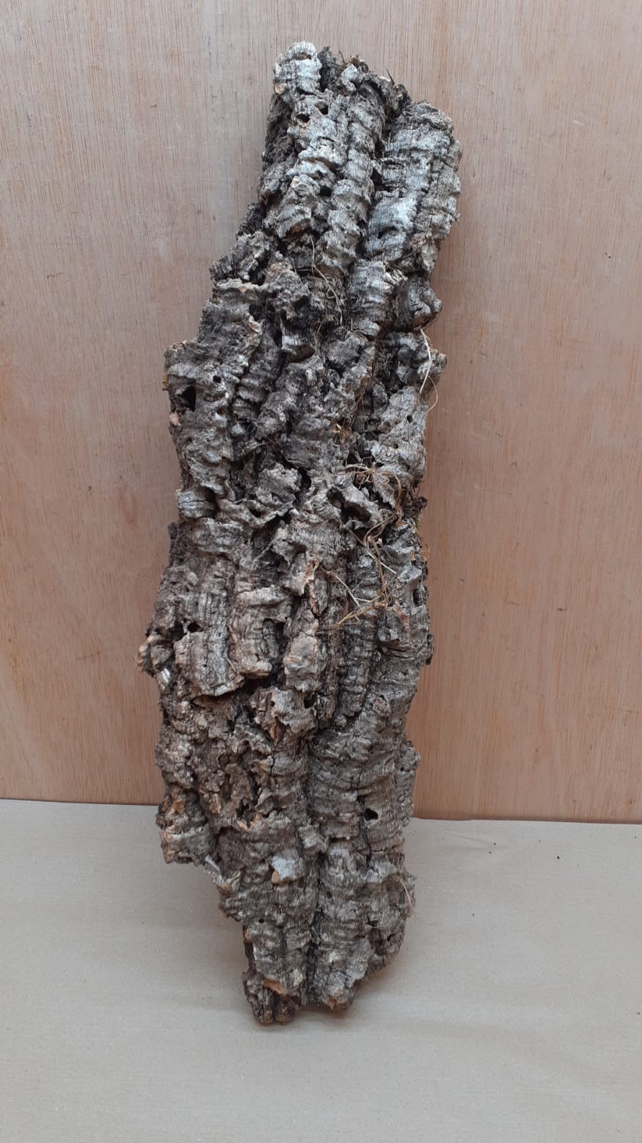 Large Cork Flat 1