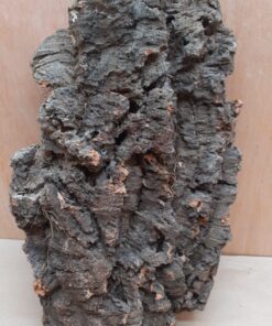 Large Cork Flat 4
