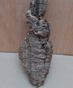 Medium Cork Flat 4