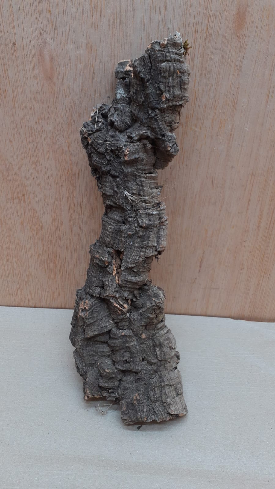 Medium Cork Flat 8