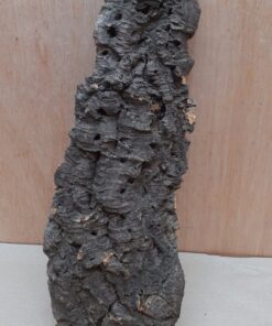 Medium Cork Flat 10