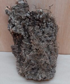 Medium Cork Flat 11