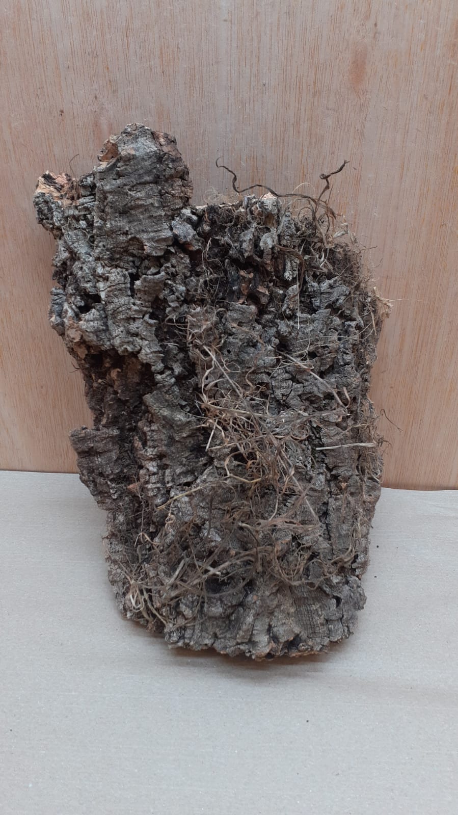 Medium Cork Flat 11