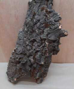 Medium Cork Flat 22