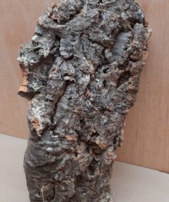 Medium Cork Flat 25