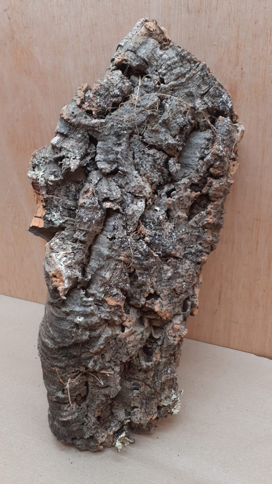 Medium Cork Flat 25