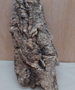 Medium Cork Flat 30