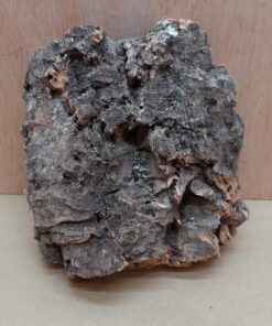 Small Cork Flat 1