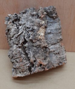 Small Cork Flat 5