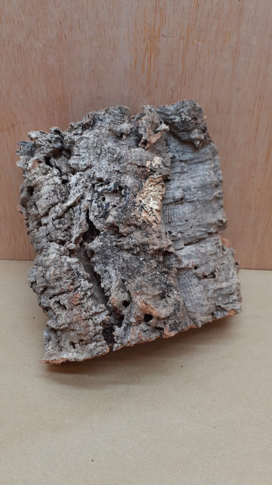 Small Cork Flat 5