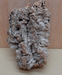 Small Cork Flat 11