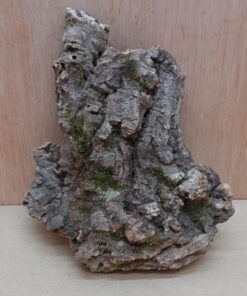 Small Cork Flat 12