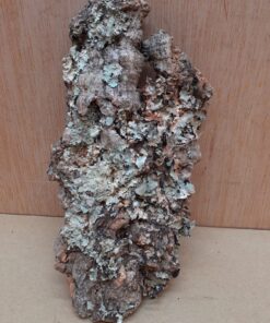 Small Cork Flat 14