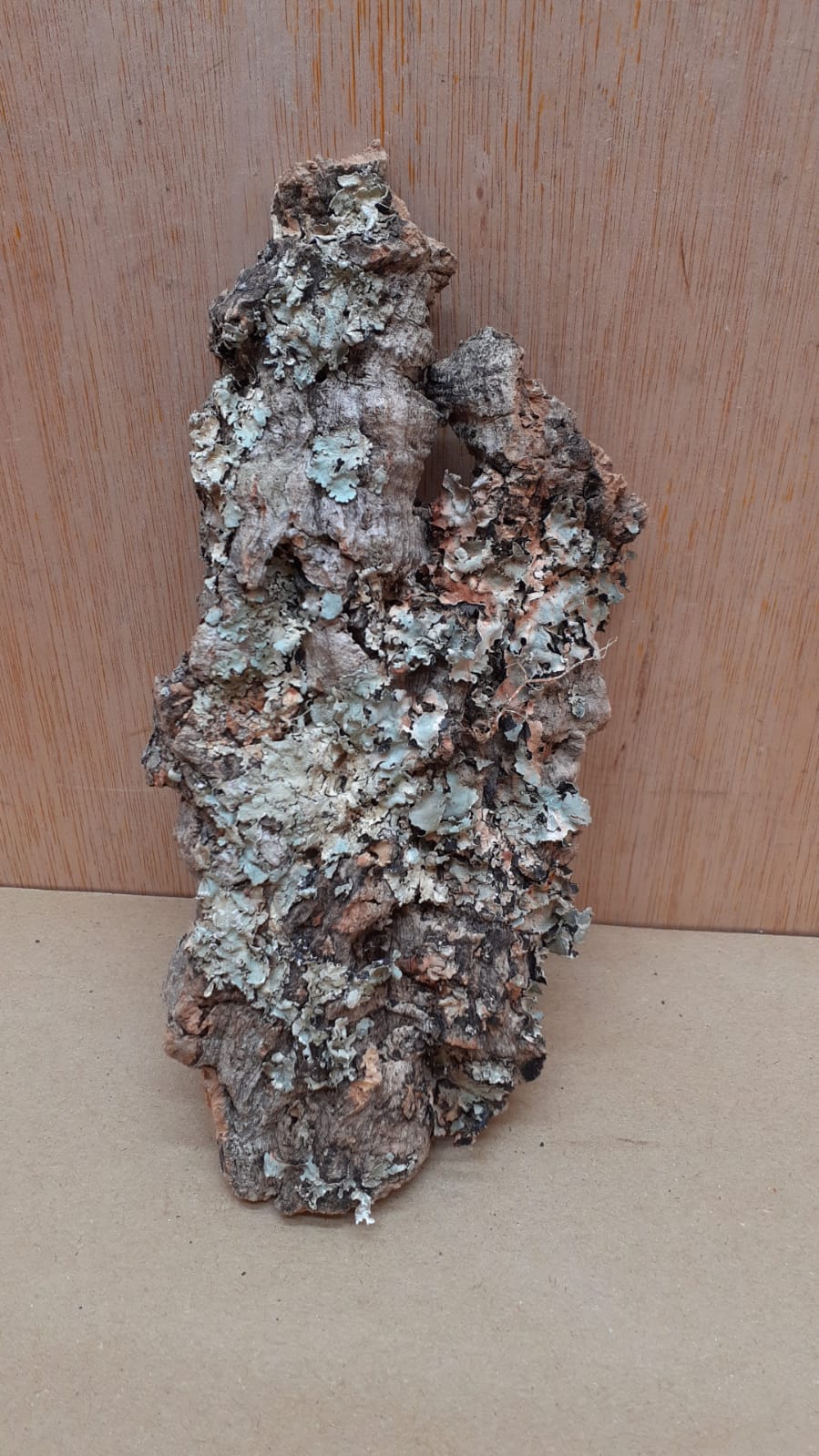 Small Cork Flat 14